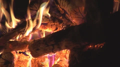Campfire Camping Stock Footage 892810
