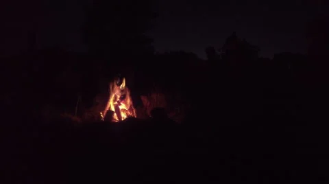 Campfire in a clear night Stock Footage 68635191