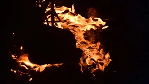 Campfire close up fire wood fire Stock Footage 233127219