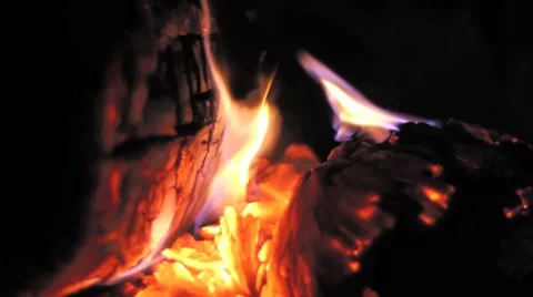Campfire close-up Stock-Footage 8974099
