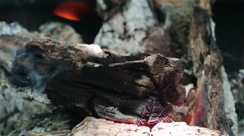 Campfire close up Video stock 32221015