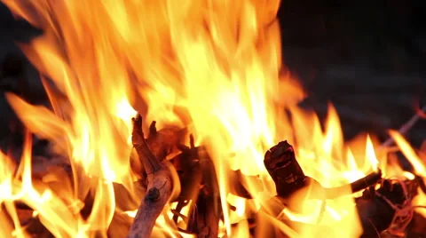 Campfire Close-up Stock Footage 41450215