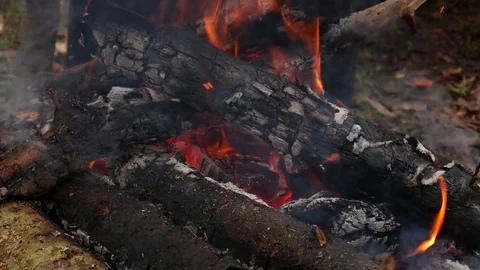 Campfire close up Stock Footage 80938550