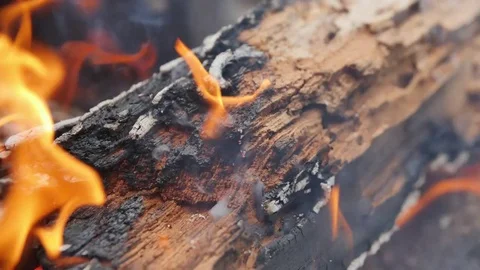 Campfire Close Up Stock Footage 81471734