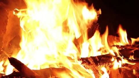 Campfire close up Stock Footage 82504685