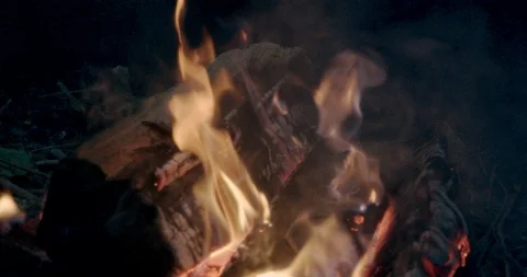 Campfire close up Stock Footage 116010107