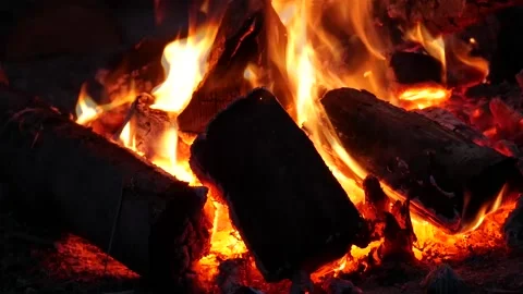 Campfire Close Vídeo Stock 135406227