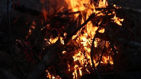 Campfire Close-Up Stock Footage 167380477