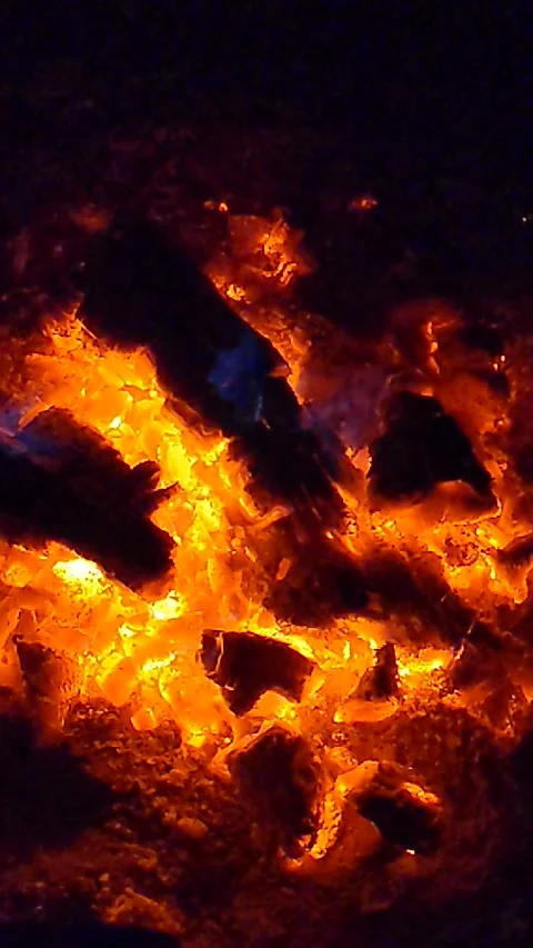 Campfire close up Stock Footage 217832371