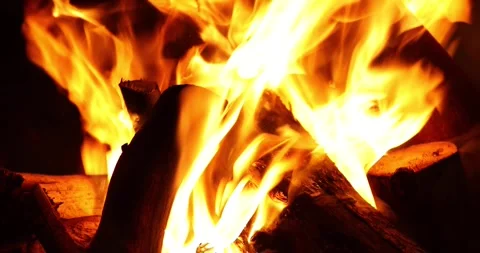 Campfire, close-up. Stock Footage 247258239
