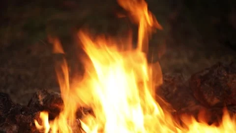 Campfire, close-up. Stock Footage 247314926