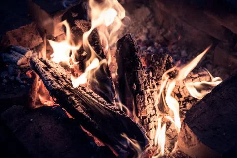 Campfire close up. Stock Photos