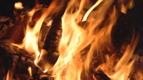 Campfire Close Up in Summertime Stock-Footage 91367539