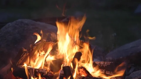 Campfire Close Up in Summertime Stock-Footage 91367541