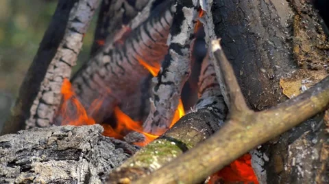 Campfire Closeup, 4K Stock Footage 47947882