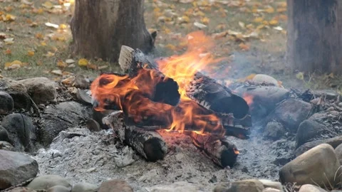 Campfire Closeup 4K 動画素材 140827993