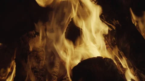 Campfire closeup of flames between big logs Stock Footage 212589177
