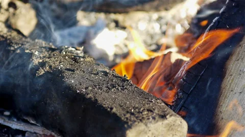 Campfire closeup Stock Footage 29156313