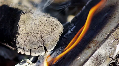 Campfire closeup Stock Footage 29726373