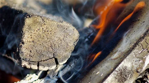 Campfire closeup Stock Footage 29835255