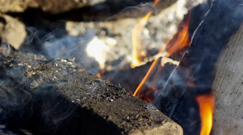 Campfire closeup Stock Footage 29910117