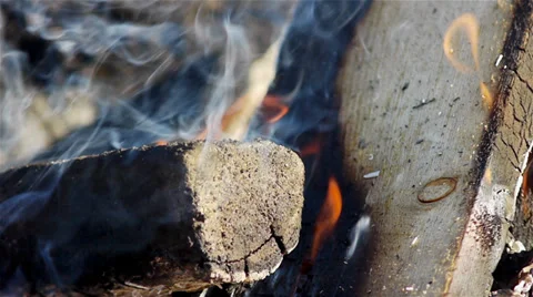 Campfire closeup Stock Footage 30015064