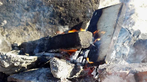 Campfire closeup Video stock 30579911