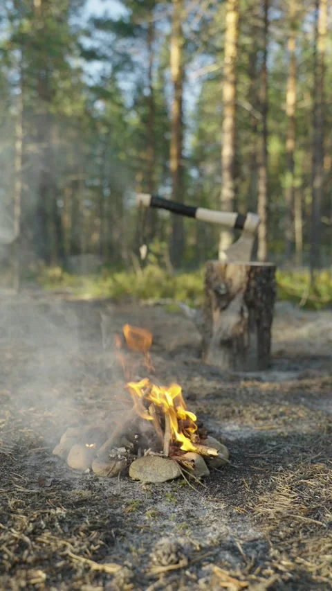 A campfire in a coniferous forest, with an ax stuck in a log in the background Видео 310319319