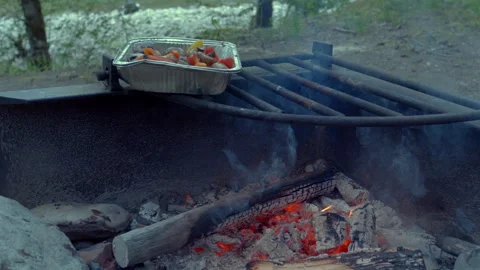 Campfire Cooking with Fresh Vegetables in Forest Wilderness Stock Footage 310080396