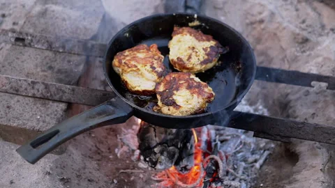 Campfire Cooking: Meat in a Pan Stock-Footage 293185346