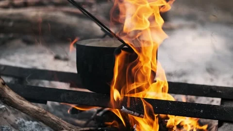 Campfire Cooking in Nature Stock Footage 283892382