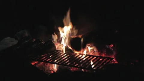 Campfire cooking with night grilling. Stock Footage 305808368
