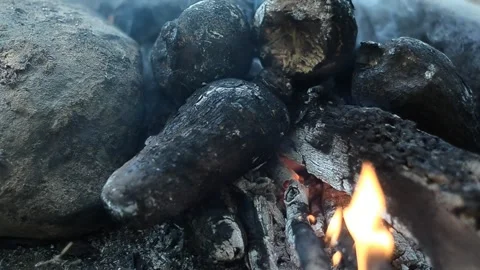 Campfire Cooking of Root Vegetables over Embers Stock Footage 337517706