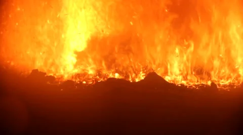 Campfire in dark  Stock Footage 40546292