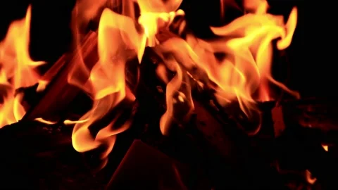 Campfire in the dark Stock Footage 221495065