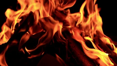 Campfire in the dark Stock Footage 241901725