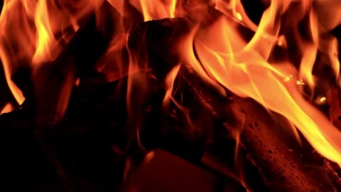 Campfire in the dark Stock Footage 246272245