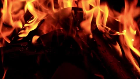 Campfire in the dark Stock Footage 246285341