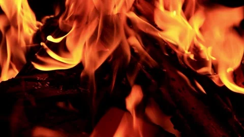 Campfire in the dark Stock Footage 246293252