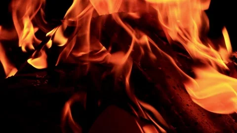 Campfire in the dark Stock Footage 247467493