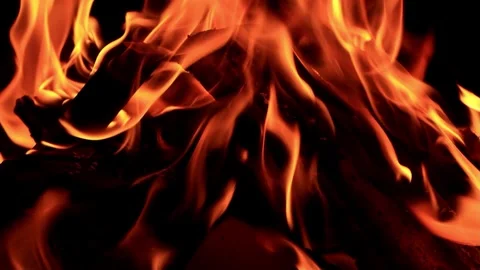 Campfire in the dark Stock Footage 247488046