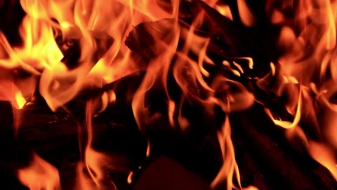 Campfire in the dark Stock Footage 261989345