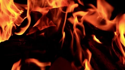 Campfire in the dark Stock Footage 262028170