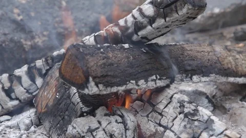 Campfire Daylight in Summertime Stock-Footage 91367531
