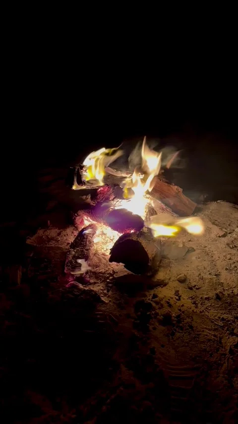 Campfire in the desert Stock-Footage 313593860