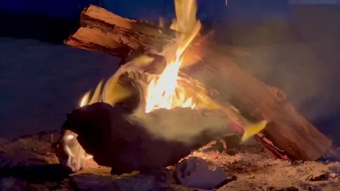 Campfire in the desert Stock Footage 313593875
