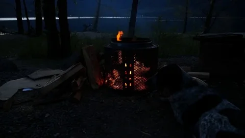 Campfire with dog at night. Stock Footage 74866754
