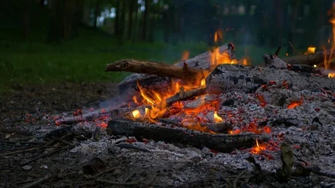 Campfire at Dusk Burning Down Stock Footage 85183014