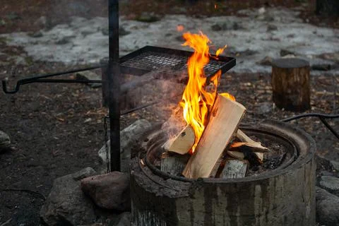 Campfire in the early spring forest. Stock Photos