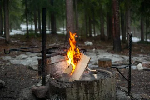 Campfire in the early spring forest. Stock Photos